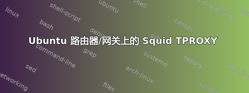 Ubuntu 路由器/网关上的 Squid TPROXY