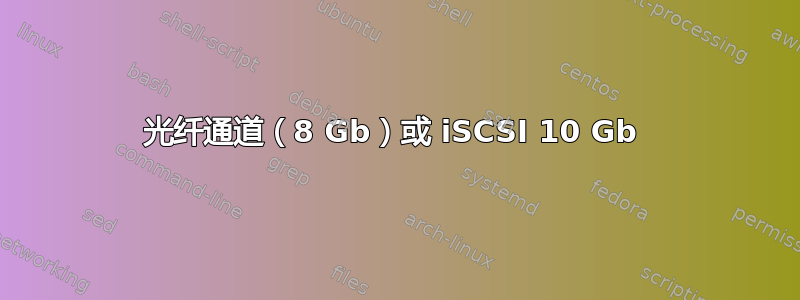 光纤通道（8 Gb）或 iSCSI 10 Gb 