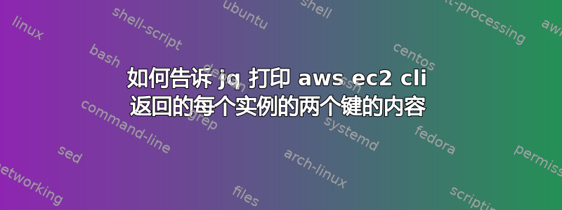 如何告诉 jq 打印 aws ec2 cli 返回的每个实例的两个键的内容