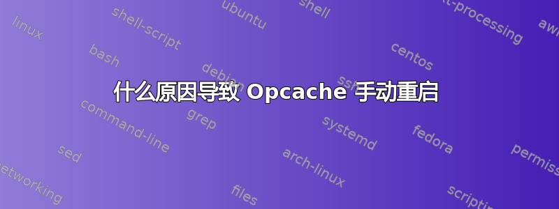 什么原因导致 Opcache 手动重启