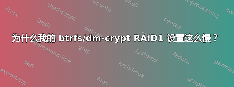 为什么我的 btrfs/dm-crypt RAID1 设置这么慢？