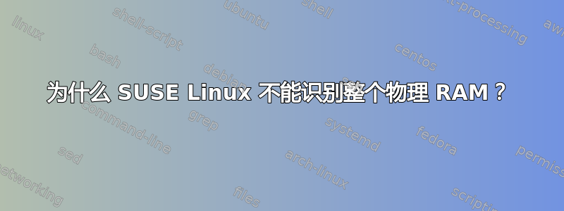 为什么 SUSE Linux 不能识别整个物理 RAM？