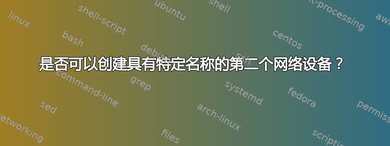 是否可以创建具有特定名称的第二个网络设备？