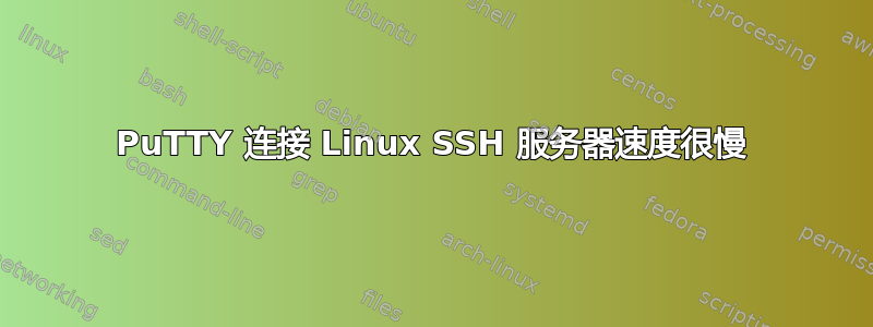 PuTTY 连接 Linux SSH 服务器速度很慢