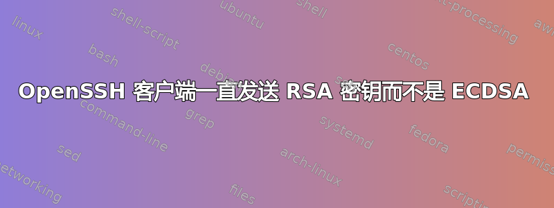 OpenSSH 客户端一直发送 RSA 密钥而不是 ECDSA