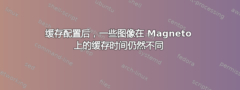 缓存配置后，一些图像在 Magneto 上的缓存时间仍然不同