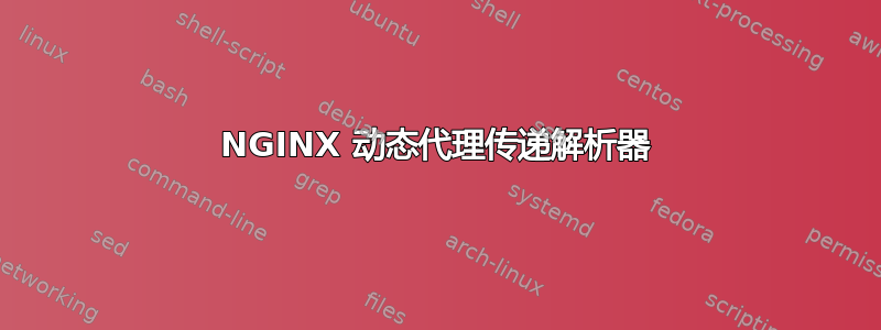 NGINX 动态代理传递解析器