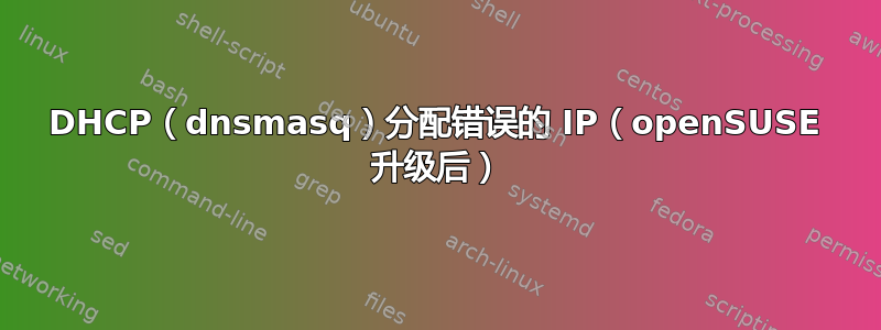 DHCP（dnsmasq）分配错误的 IP（openSUSE 升级后）