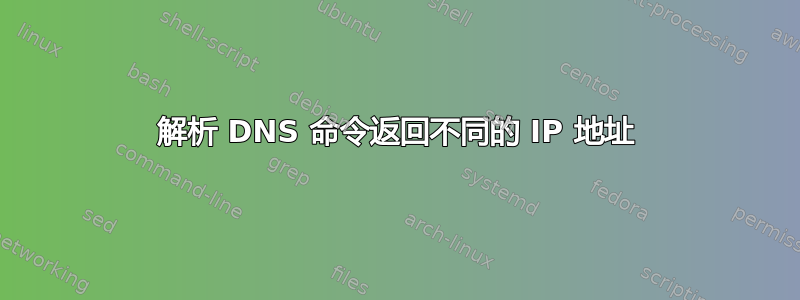 解析 DNS 命令返回不同的 IP 地址