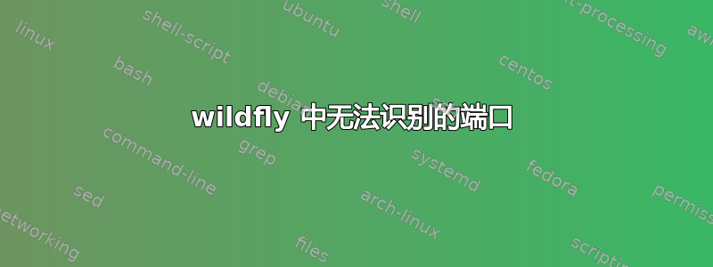 wildfly 中无法识别的端口