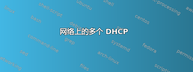 网络上的多个 DHCP 