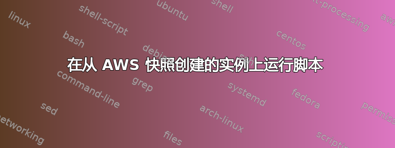 在从 AWS 快照创建的实例上运行脚本