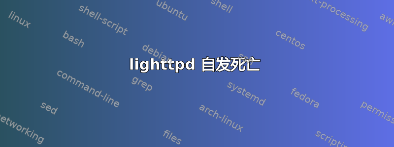 lighttpd 自发死亡