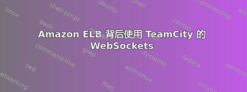 Amazon ELB 背后使用 TeamCity 的 WebSockets