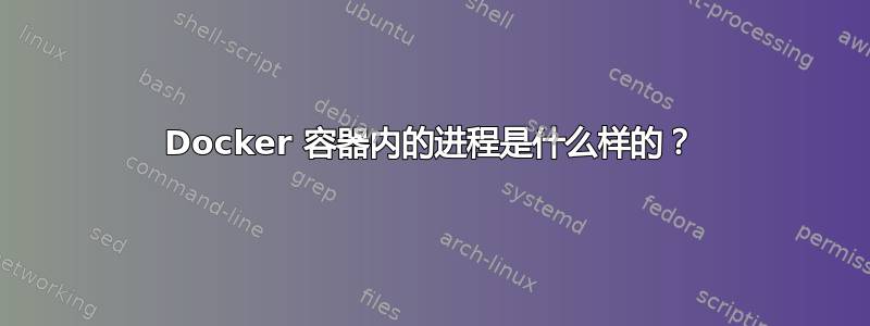 Docker 容器内的进程是什么样的？