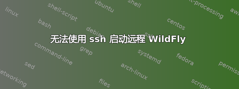 无法使用 ssh 启动远程 WildFly