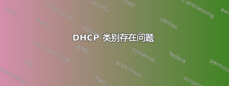 DHCP 类别存在问题