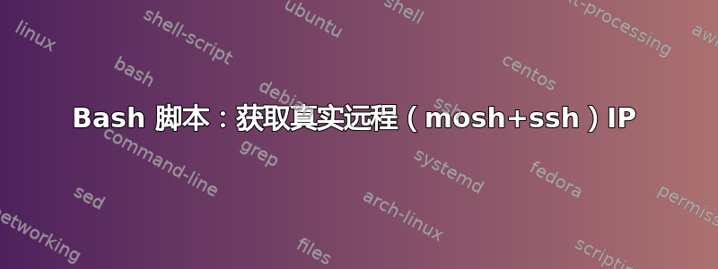 Bash 脚本：获取真实远程（mosh+ssh）IP