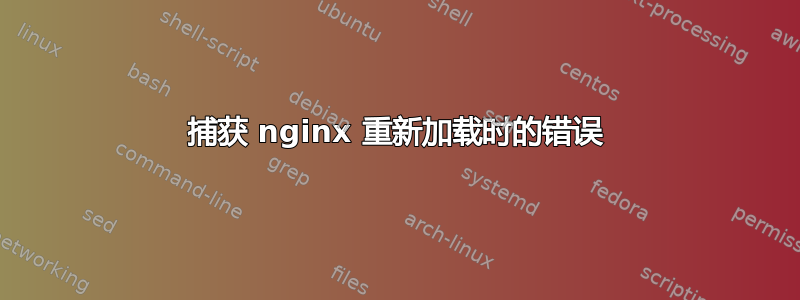 捕获 nginx 重新加载时的错误