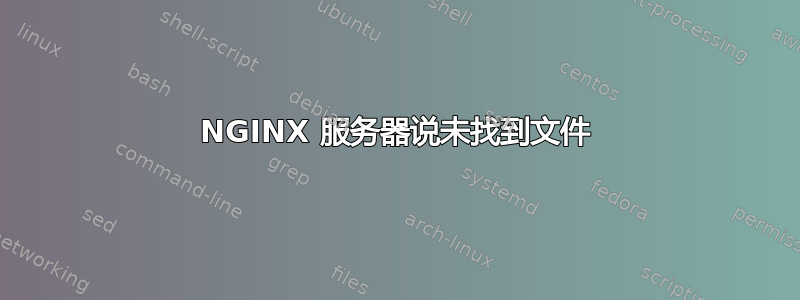 NGINX 服务器说未找到文件