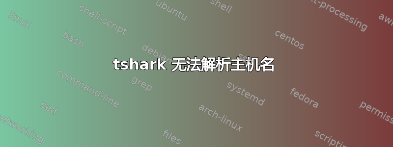 tshark 无法解析主机名