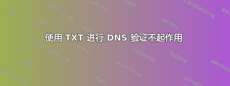 使用 TXT 进行 DNS 验证不起作用