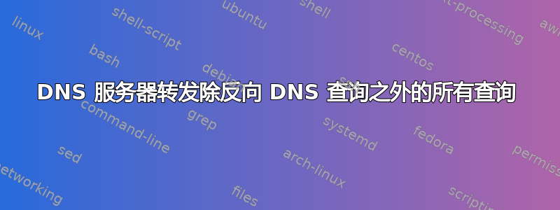 DNS 服务器转发除反向 DNS 查询之外的所有查询