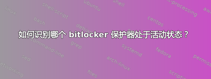 如何识别哪个 bitlocker 保护器处于活动状态？