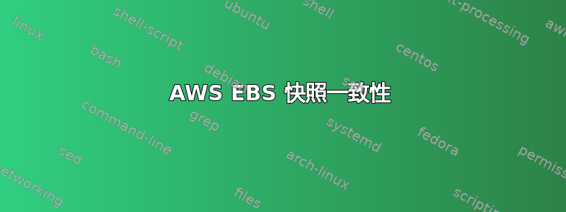 AWS EBS 快照一致性