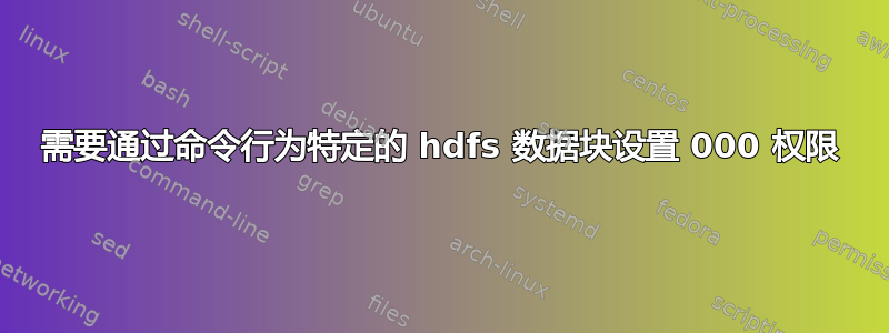 需要通过命令行为特定的 hdfs 数据块设置 000 权限