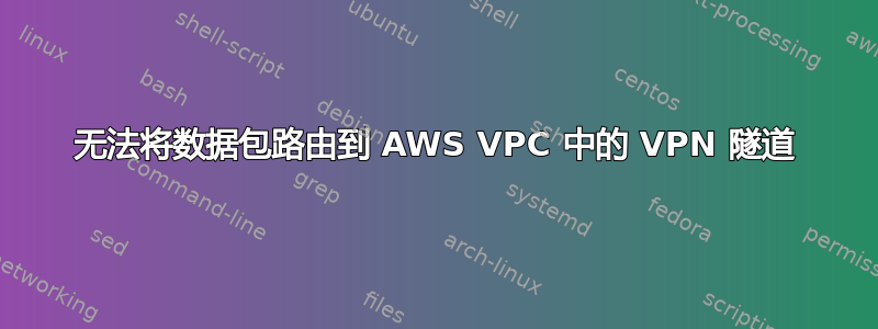 无法将数据包路由到 AWS VPC 中的 VPN 隧道