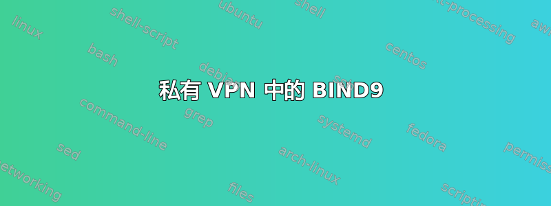 私有 VPN 中的 BIND9