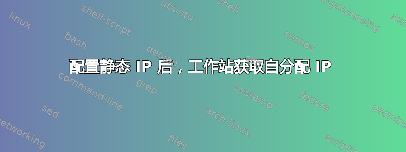 配置静态 IP 后，工作站获取自分配 IP