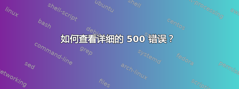 如何查看详细的 500 错误？