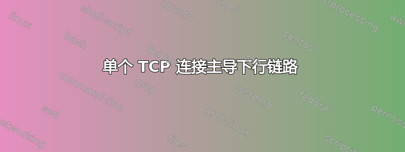 单个 TCP 连接主导下行链路