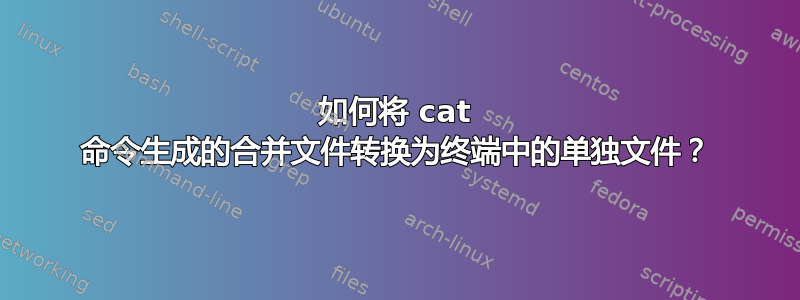 如何将 cat 命令生成的合并文件转换为终端中的单独文件？