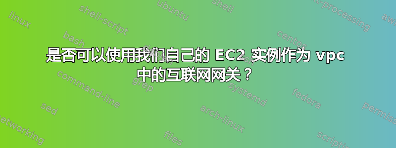 是否可以使用我们自己的 EC2 实例作为 vpc 中的互联网网关？