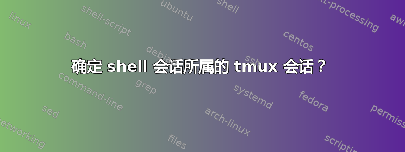 确定 shell 会话所属的 tmux 会话？