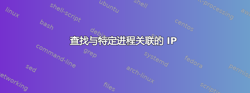 查找与特定进程关联的 IP