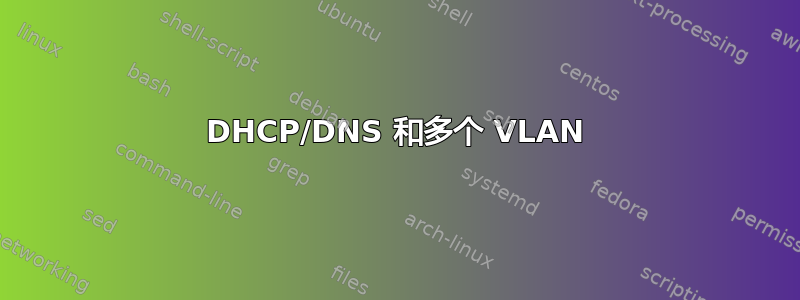 DHCP/DNS 和多个 VLAN