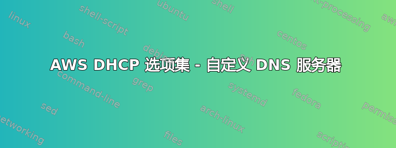 AWS DHCP 选项集 - 自定义 DNS 服务器