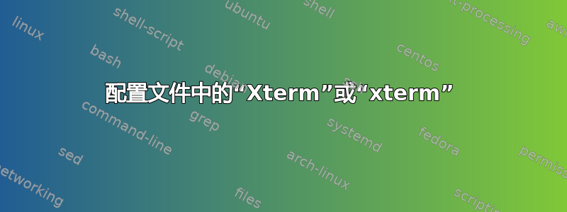 配置文件中的“Xterm”或“xterm”