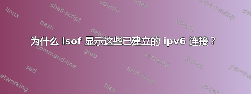 为什么 lsof 显示这些已建立的 ipv6 连接？