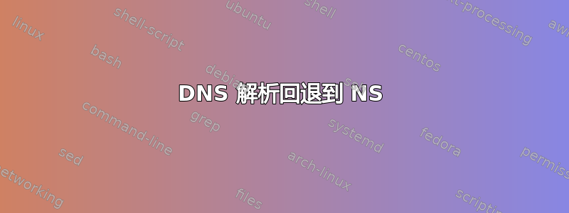 DNS 解析回退到 NS