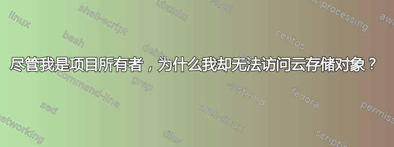 尽管我是项目所有者，为什么我却无法访问云存储对象？