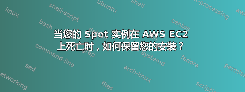 当您的 Spot 实例在 AWS EC2 上死亡时，如何保留您的安装？