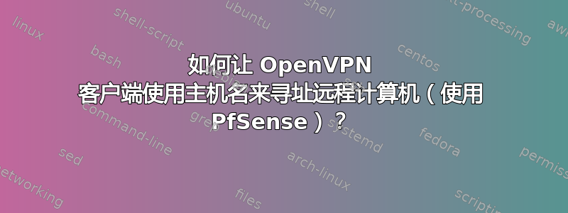 如何让 OpenVPN 客户端使用主机名来寻址远程计算机（使用 PfSense）？