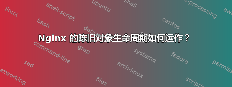 Nginx 的陈旧对象生命周期如何运作？