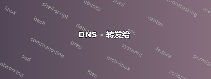 DNS - 转发给