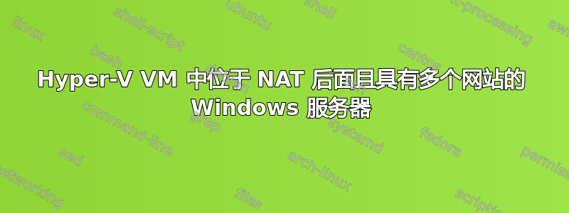 Hyper-V VM 中位于 NAT 后面且具有多个网站的 Windows 服务器